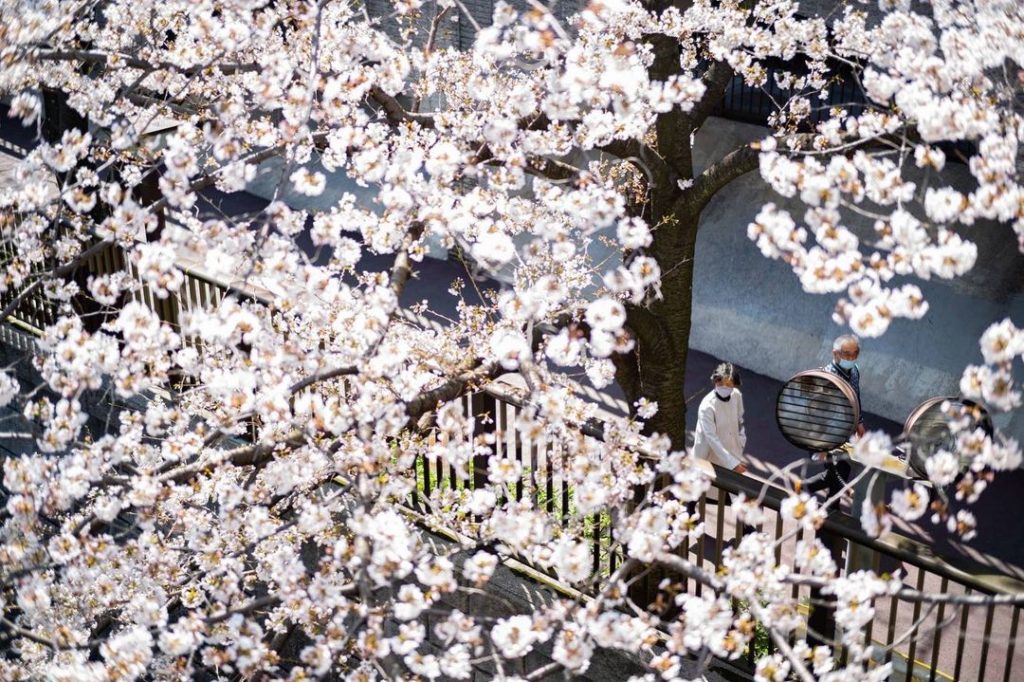 With Tokyo’s state of emergency lifted just ahead of the cherry blossoms burstin...