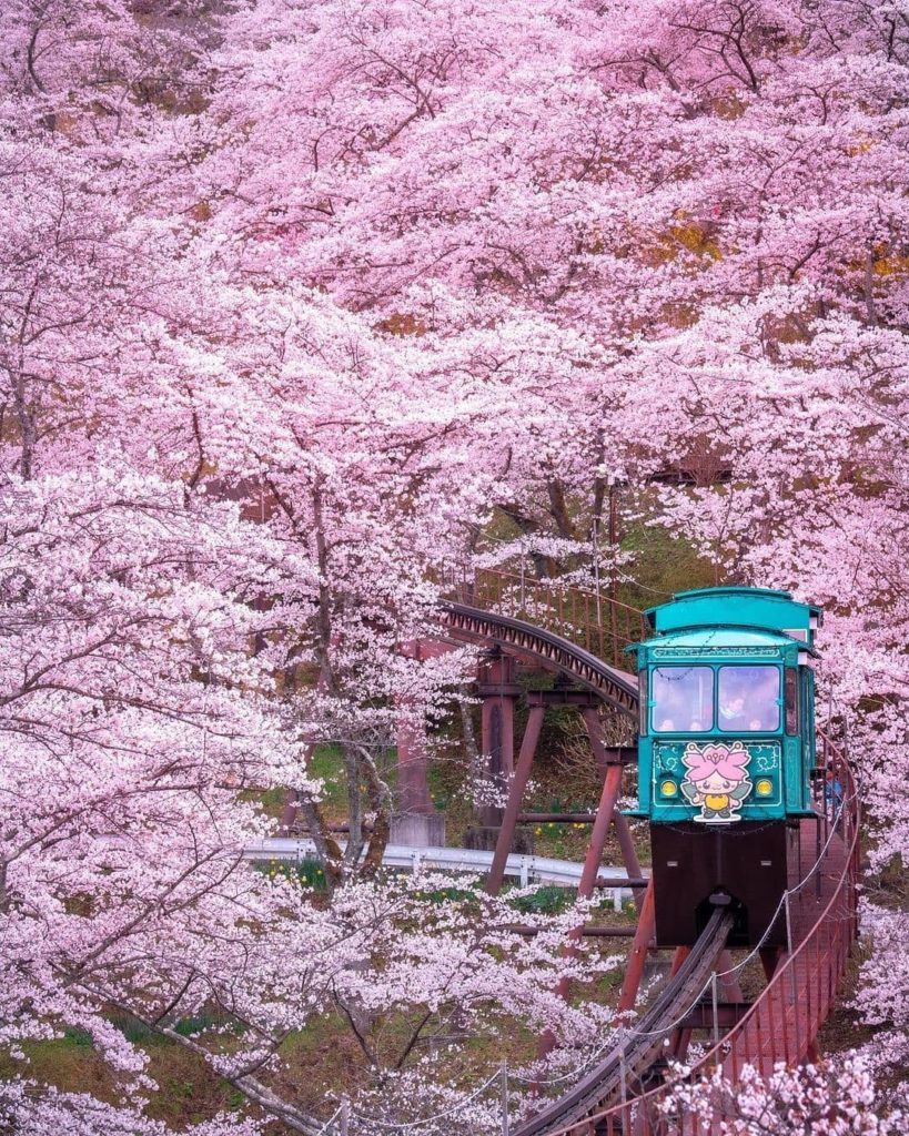 Visit Japan: Toot toot! All aboard the slope car at Funaoka Castle Park. Designated as one o… Toot toot! All aboard the slope car at Funaoka Castle Park. Designated as one o...