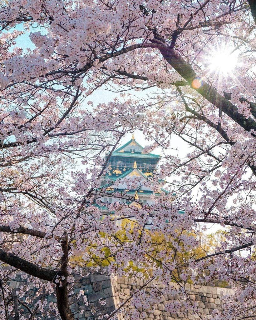Japan Travel: Osaka Castle is one of Japan’s most recognizable landmarks, and it’s also one of… Osaka Castle is one of Japan's most recognizable landmarks, and it's also one of...
