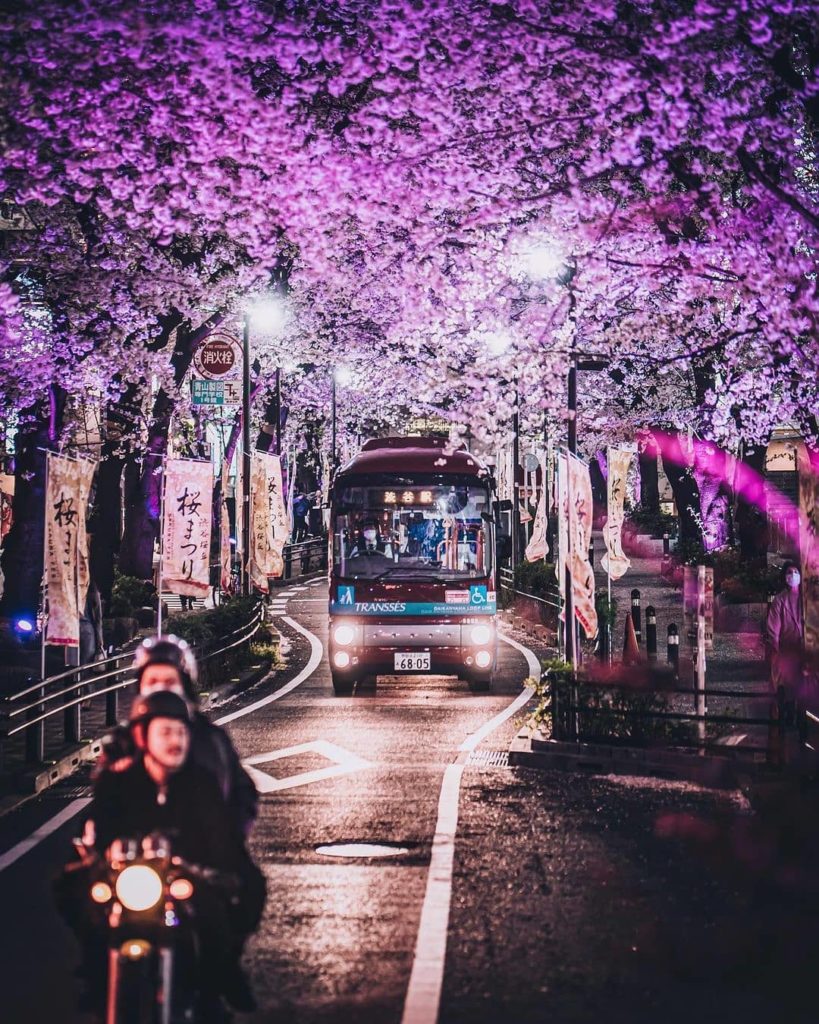 Sakura by night in Shibuya 
: @sakaki0325
-----⁣⠀
#Shibuya, #Tokyo
.⁣⠀
.⁣⠀
.⁣⠀
...