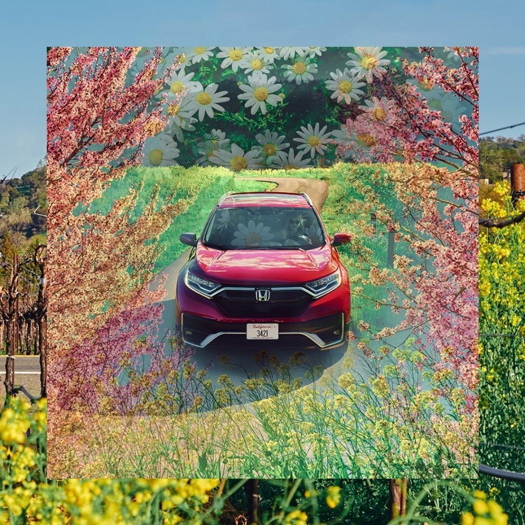 Always take the colorful path. #HondaCRV...