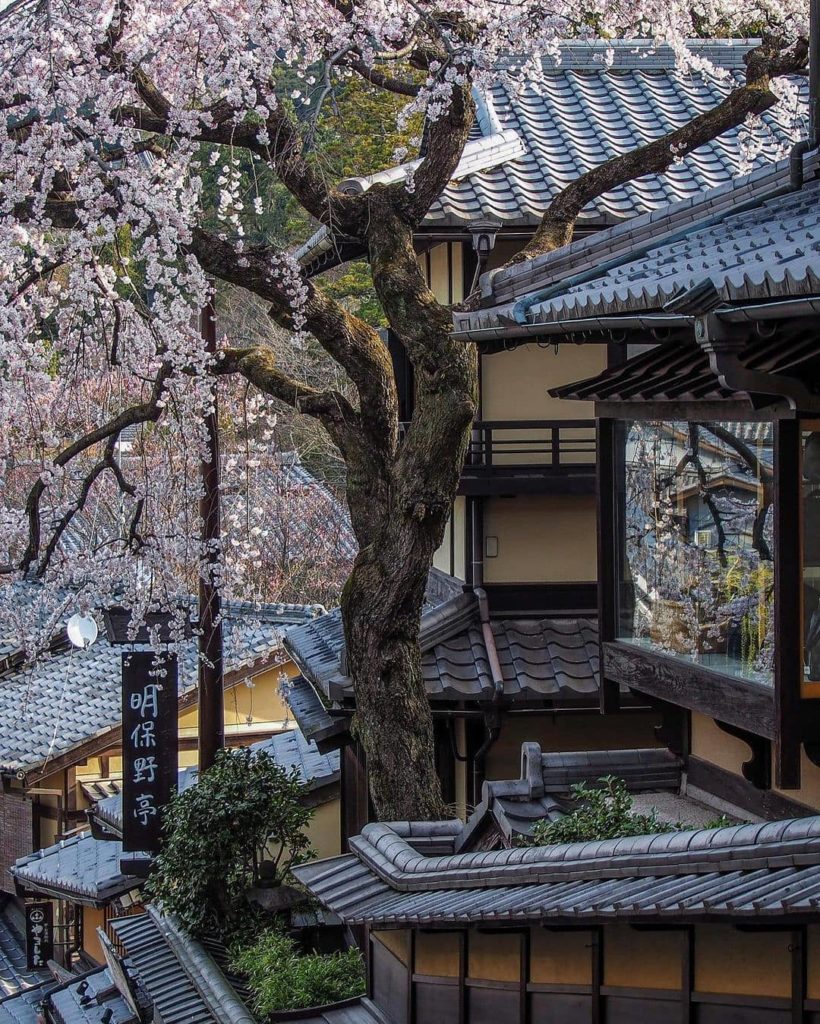 Sakura at Sannen-zaka 
: @tomokotoamu
-----⁣⠀
Sannen-zaka, #Kyoto
.⁣⠀
.⁣⠀
.⁣⠀
....