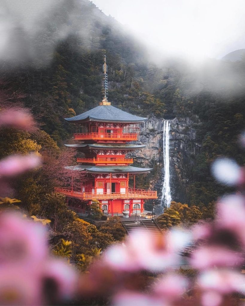 In a primeval forest steeped in spirituality, you’ll find one of Japan's tallest...