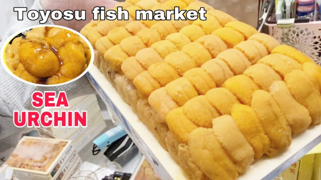TOYOSU FISH MARKET the finest sea urchin! Seafood Bowl RECIPIE TOYOSU FISH MARKET the finest sea urchin! Seafood Bowl RECIPIE