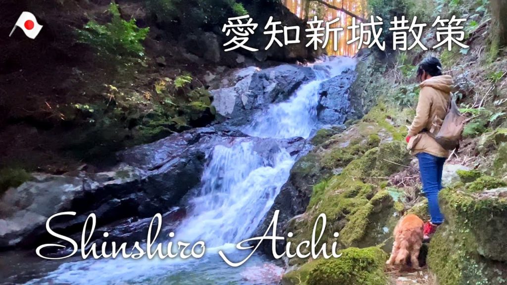【御嶽神社 田代の本滝】わんこと行く愛知新城散策　a trip to walk with the dog　Tashiro's main waterfall  shinshiro-aichi-japan