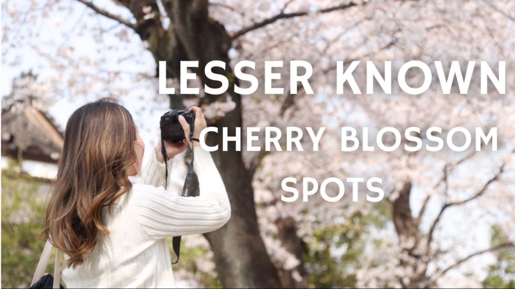 5 LESSER KNOWN Cherry Blossom Spots In Tokyo