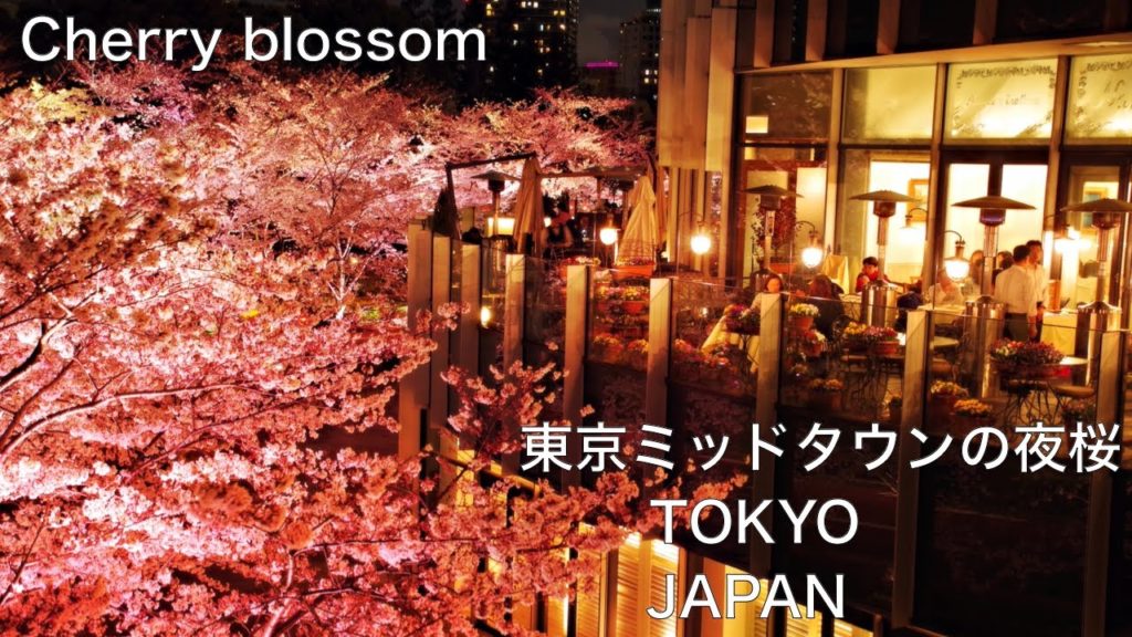 ★【Tokyo,JAPAN】Cherry blossom in Roppongi　東京ミッドタウン六本木の夜桜ライトアップ　JAPAN TRAVEL　Sakura　東京　桜　Tokyo Midtown