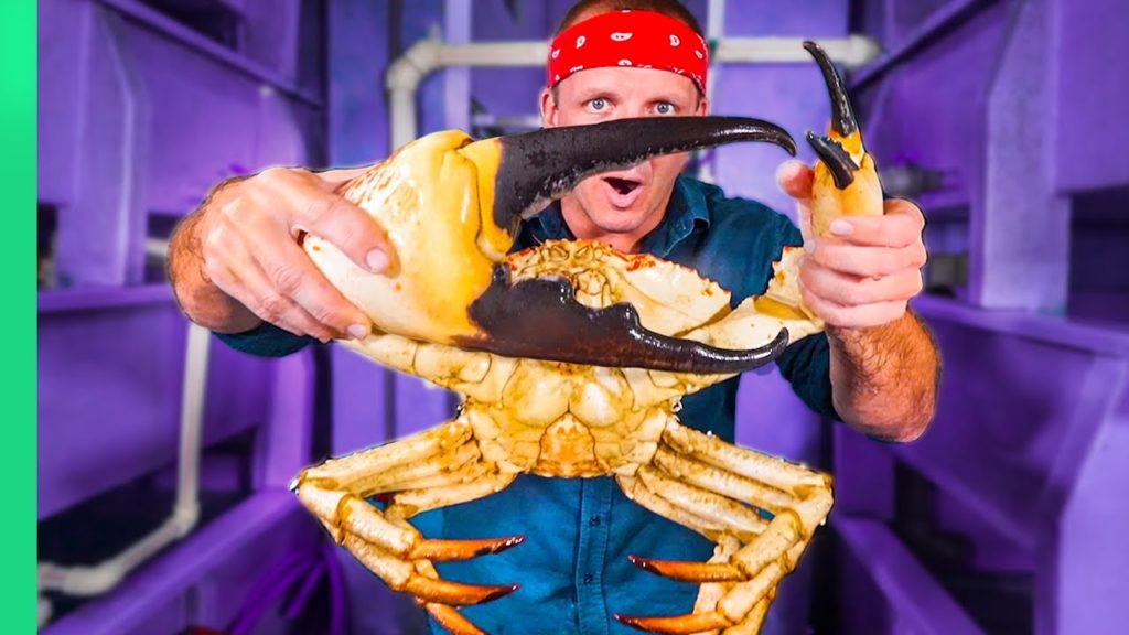 Japanese Chef Prepares GIANT Tasmanian CRAB!! Over $700!!