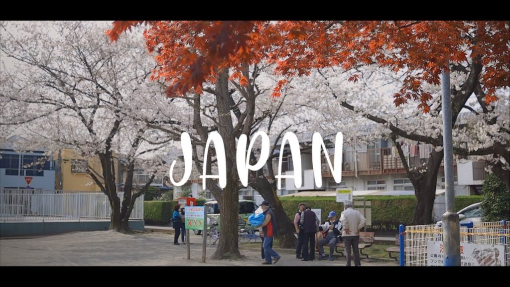 Cherry blossom in Japan - 今年も遠出のお花見を我慢しました