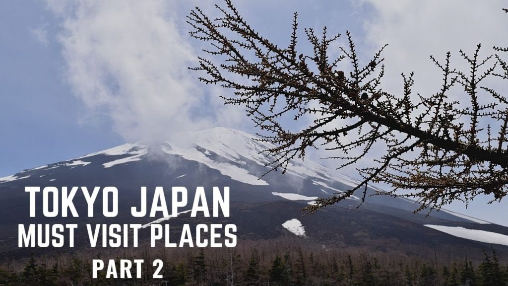 TOKYO JAPAN I MT. FUJI 5TH STATION I HAKONE ROPEWAY I SHINKANSEN OR BULLET TRAIN I MUST VISIT PLACES