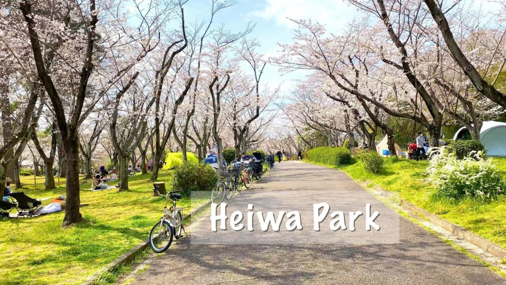 [4K] Japan Walking Tour - Amazing Cherry Blossom at Heiwa Park, Nagoya | Weekend Picnic