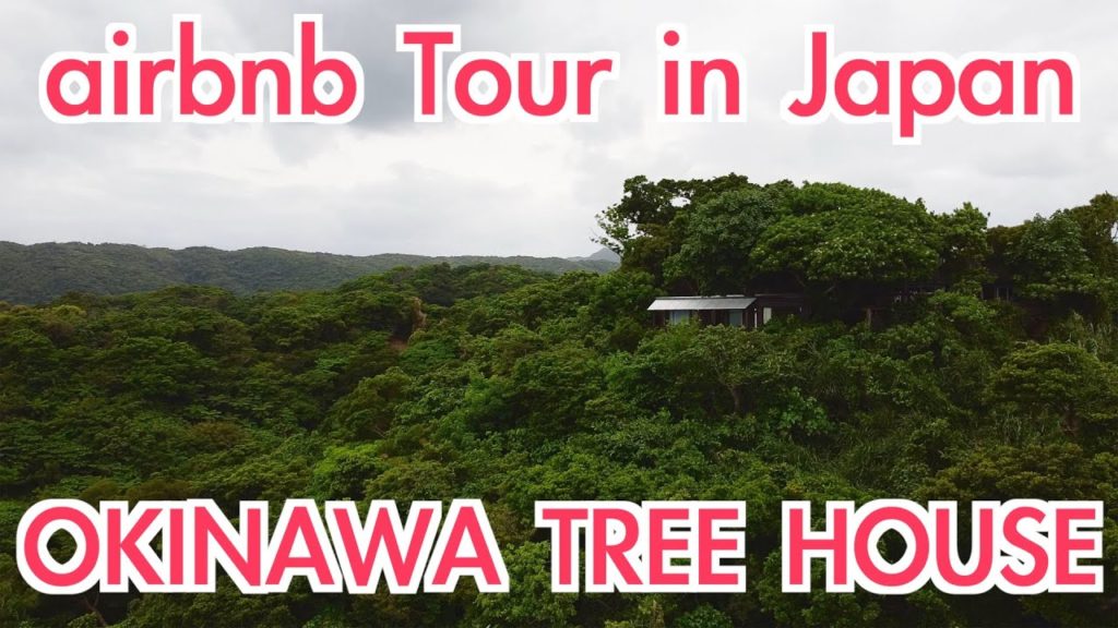 Tree House in Okinawa, Airbnb tour in Japan Tree House in Okinawa, Airbnb tour in Japan