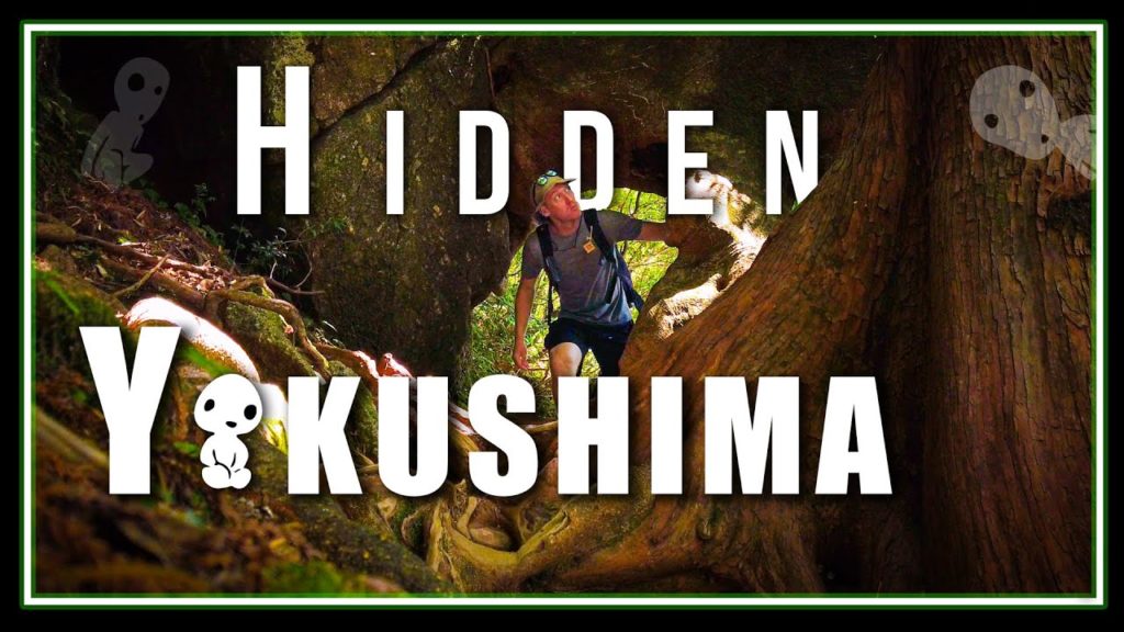 Exploring Hidden Yakushima Island | Japans Secret Paradise Exploring Hidden Yakushima Island | Japans Secret Paradise