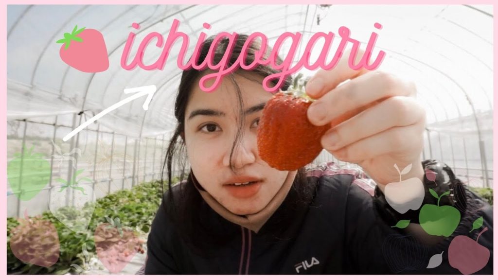 ichigogari//chiba, naruto & kujukuri🍓⚡️