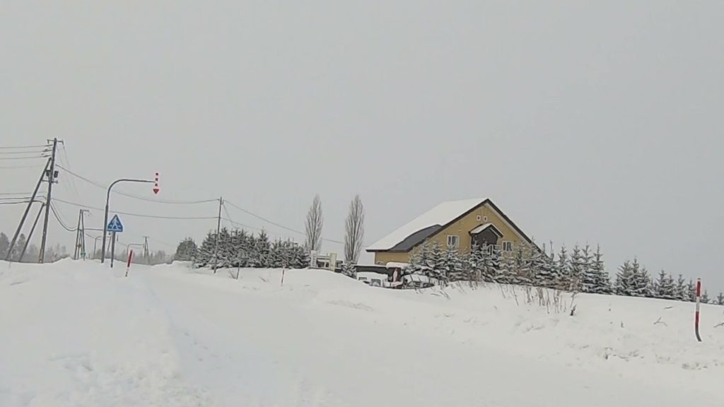 Japan, Hokkaido – Ken and Mary's Tree