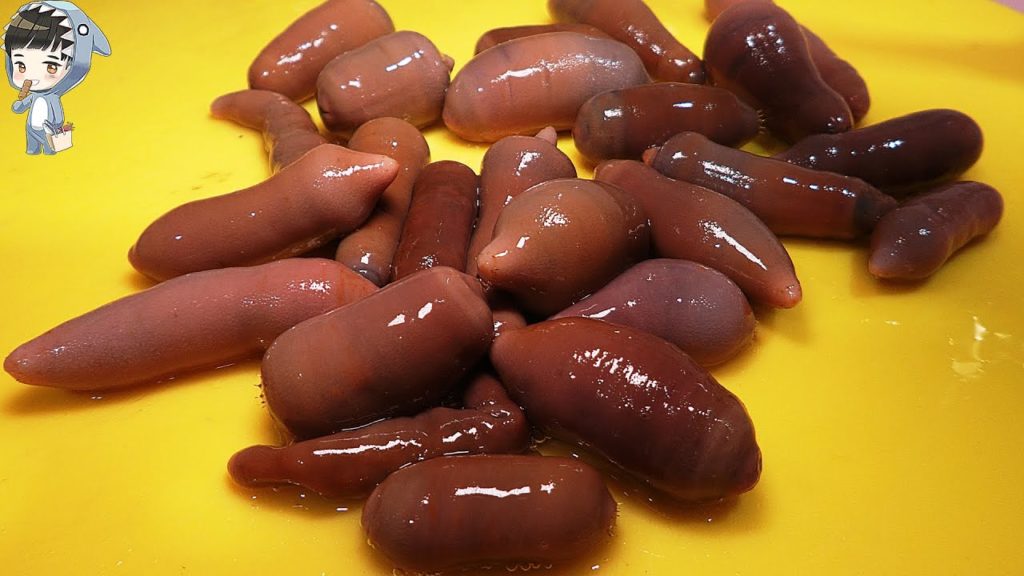 KOREAN STREET FOOD SPOON WORM SASHIMI KOREA SEAFOOD MARKET 포항 송도활어회센터 개불회 160321