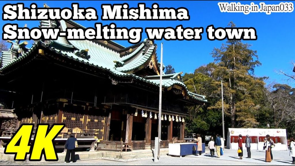 【4K in Japan】Shizuoka Mishima 【City Walking033】静岡・三島大社
