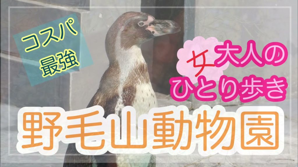 【大人のひとり歩き】コスパ最強！入園無料の野毛山動物園  Discover the animals at Nogeyama Zoo, Yokohama