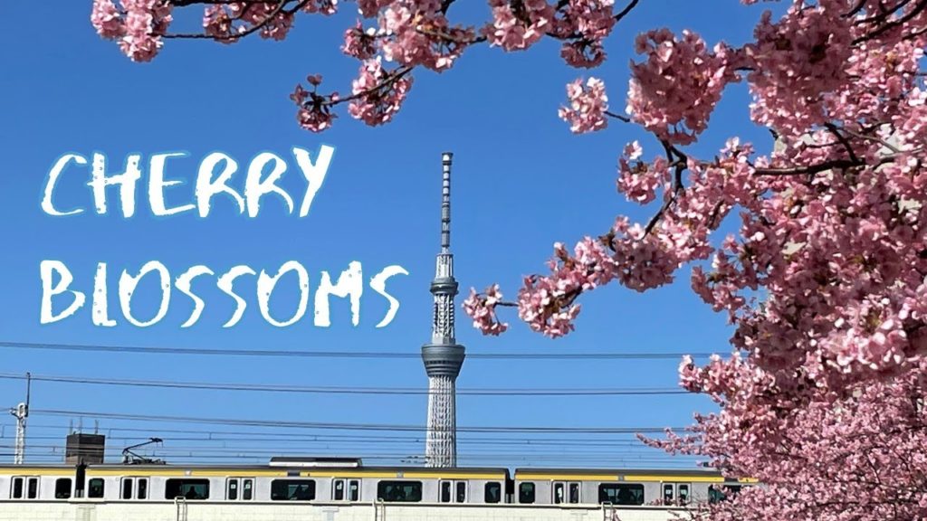 [Vlog] Cherry Blossoms from Kyu-Nakagawa River with TOKYO SKYTREE and Train | Sightseeing, Japan