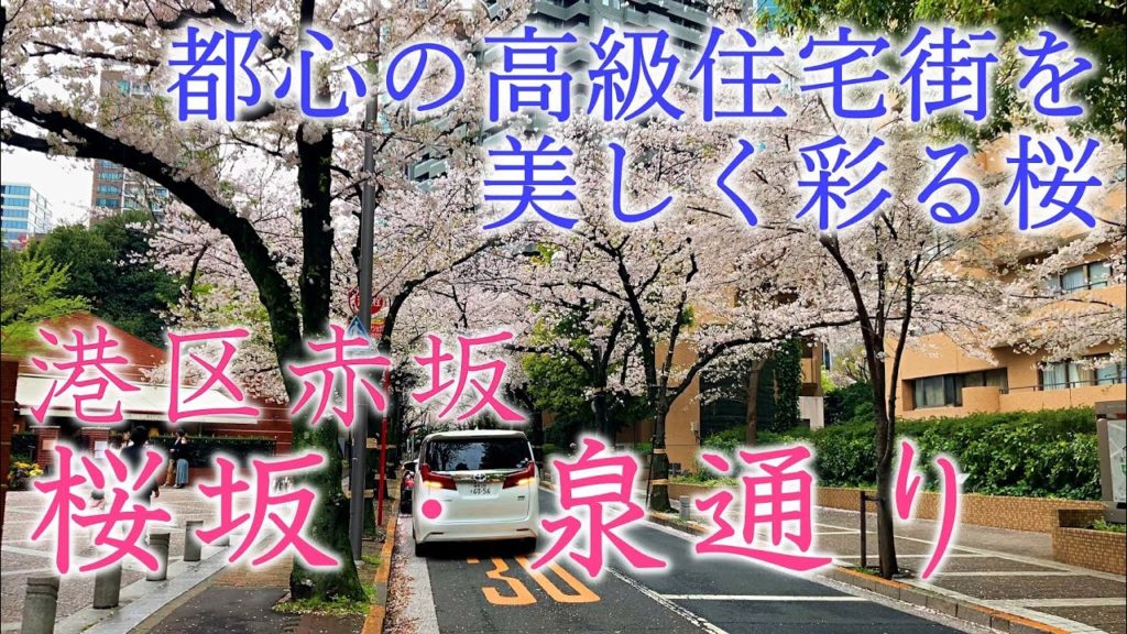 桜坂、桜満開!港区赤坂の桜の名所・みどころ。東京・都心のお洒落な高級住宅街を彩る桜並木。泉通り、スペイン坂、アークヒルズ、泉ガーデン。Sakura-zaka, Tokyo, Japan 桜坂、桜満開!港区赤坂の桜の名所・みどころ。東京・都心のお洒落な高級住宅街を彩る桜並木。泉通り、スペイン坂、アークヒルズ、泉ガーデン。Sakura-zaka, Tokyo, Japan