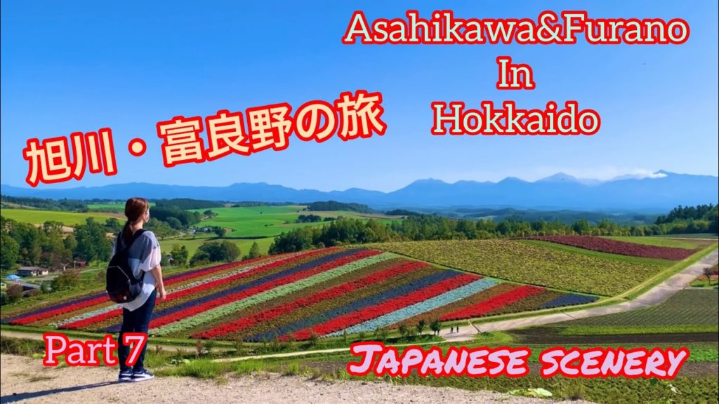 旭川・富良野旅行その7！青い池の青さに感嘆し！四季彩の丘の広大な美しさに心振るわせる！Asahikawa&Furano in Hokkaido trip part 7.