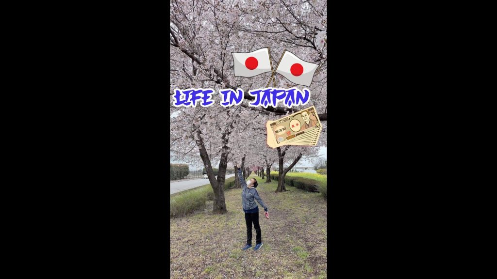 Cherry Blossom | Life in Japan | TOUR | Vacation | Saitama Japan