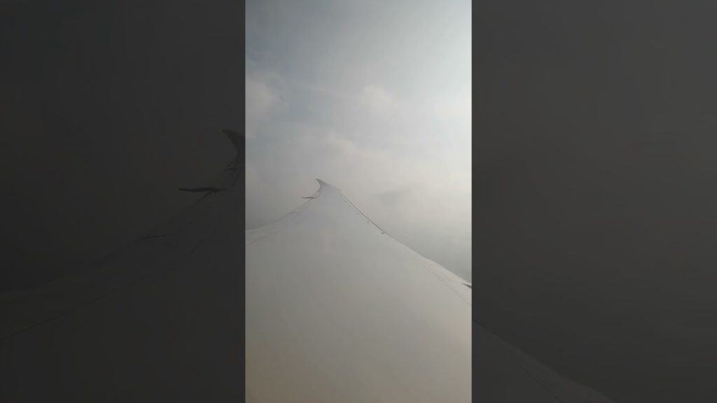 Hi mr. SUN I see you soon japan I PASYADOR #shorts