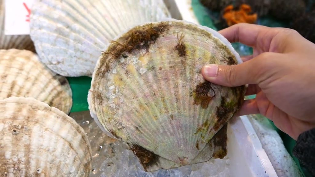 Hải sản đường phố Nhật bản – Japanese Street Seafood Hải sản đường phố Nhật bản - Japanese Street Seafood