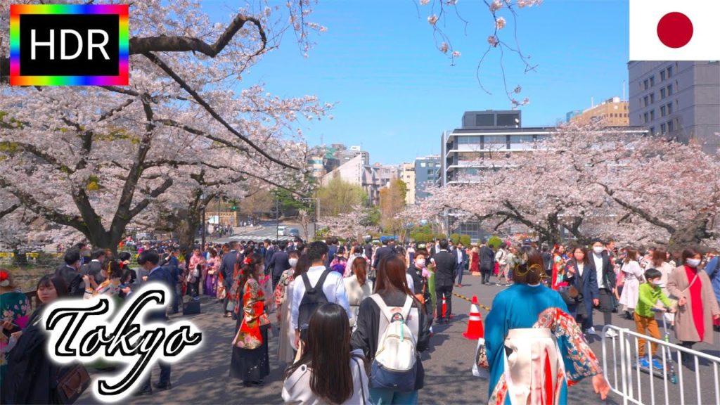 🇯🇵【4K HDR】Cherry blossoms in Chidorigafuchi with Graduation ceremony | Tokyo Walk (March 2021)