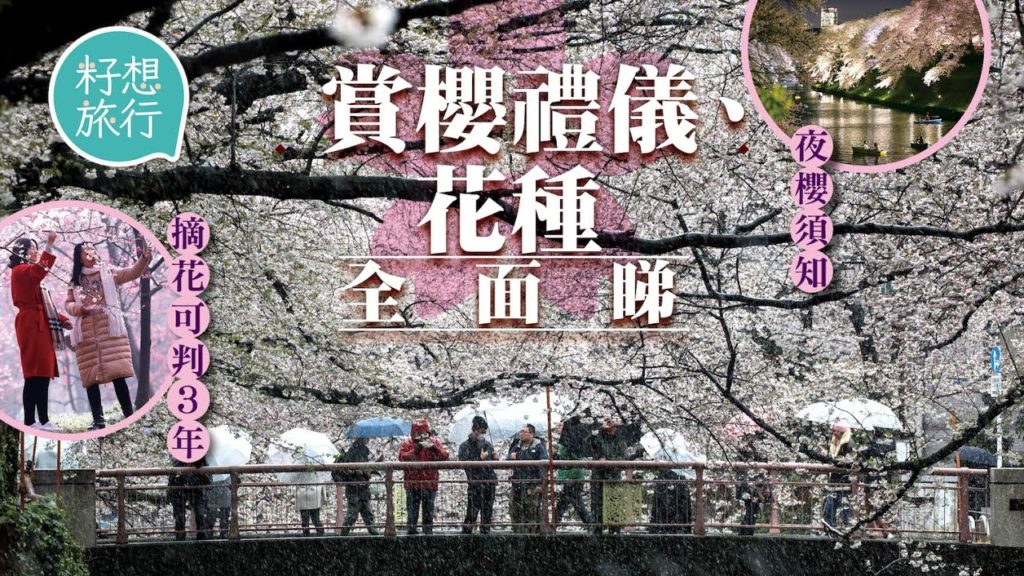 日本香川縣四大賞櫻熱點推介 櫻花多達600種日本人最愛吉野櫻 遊日賞櫻禮儀你要識 #籽想旅行─果籽 香港 Apple Daily─原刊日期：2018年