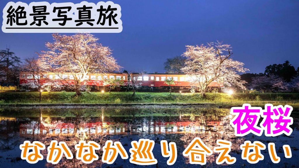 鉄道絶景写真 隠れた桜名所で夜桜と小湊鉄道の写真を撮りに行ったら雨だった。 飯給駅in千葉県 Cherry blossom and train photo travel in Japan 鉄道絶景写真 隠れた桜名所で夜桜と小湊鉄道の写真を撮りに行ったら雨だった。 飯給駅in千葉県 Cherry blossom and train photo travel in Japan