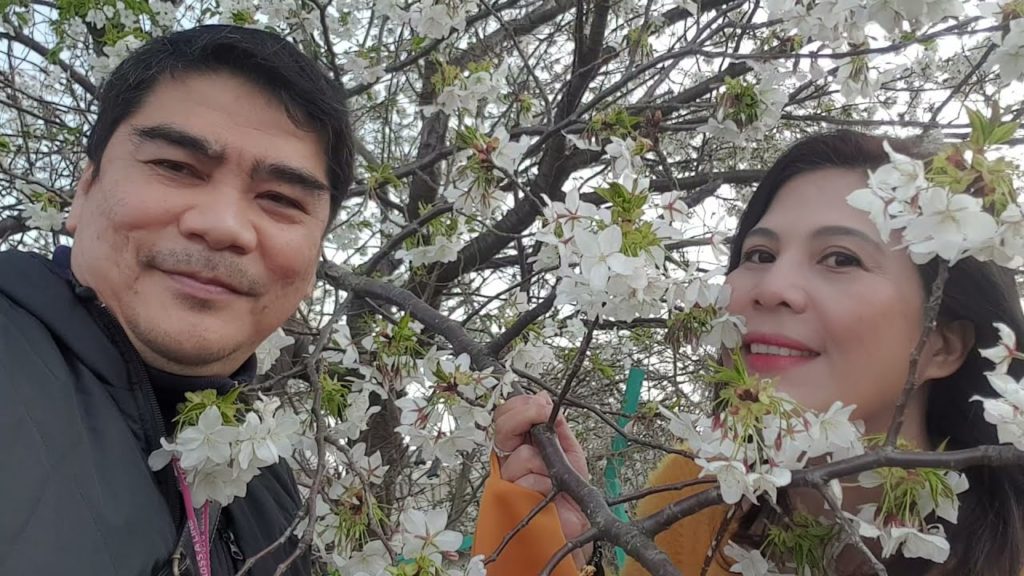 Sakura Hunt - Bike Bonding (Kamata, Tokyo to Kawasaki)
