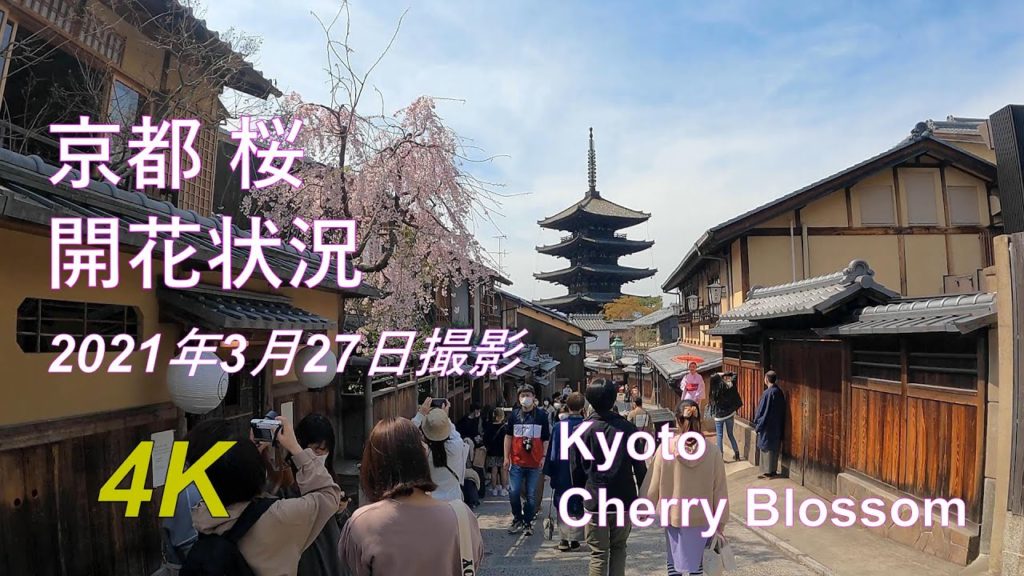 京都の桜 清水寺 桜 京都 円山公園 ねねの道 旅行 KYOTO Kyoto Kiyomizu Temple Cherry blossoms【2021/03/27】 京都の桜 清水寺 桜 京都 円山公園 ねねの道 旅行 KYOTO Kyoto Kiyomizu Temple Cherry blossoms【2021/03/27】