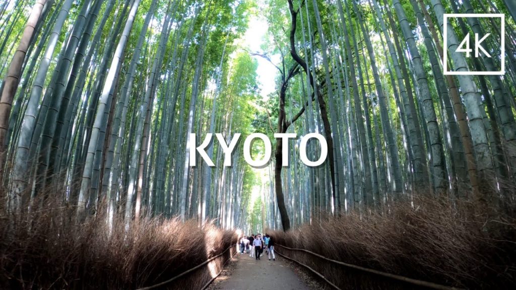 Bamboo Grove in Kyoto Arashiyama | Walk Japan 2021［4K］