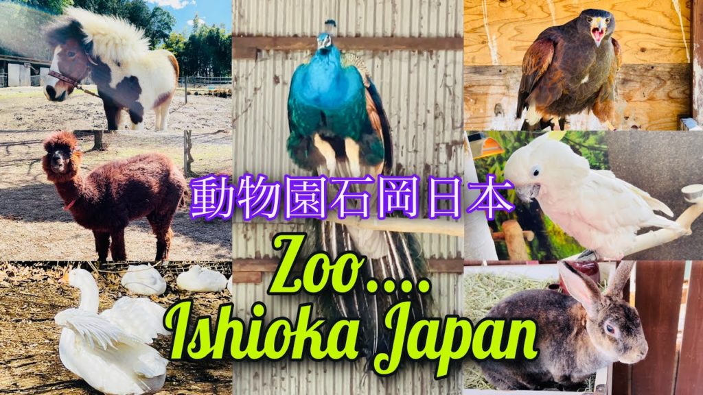 Zoo in japan | 日本の動物園 | සත්තු වත්ත | 2021