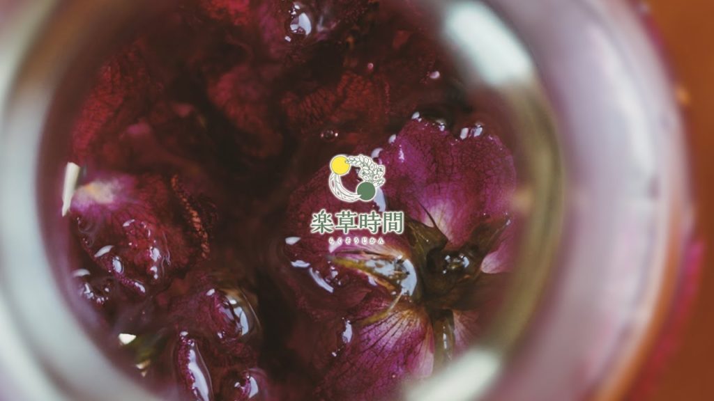 楽草時間 PR映像 - All days PR Movie PLAN  -