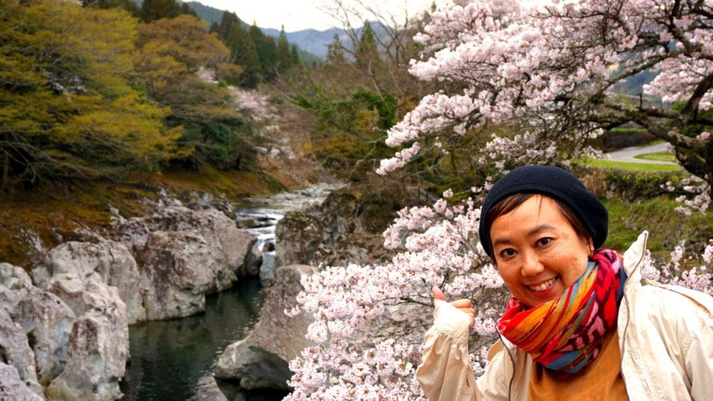 Best sakura Kyushu 🌸 Cherry Blossom Heaven 🥰 Best sakura Kyushu 🌸 Cherry Blossom Heaven 🥰