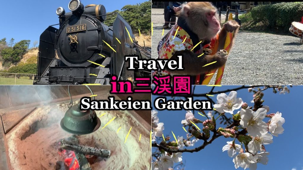 【女子一人旅】in神奈川 Vlog 日本庭園・桜が見れる三渓園