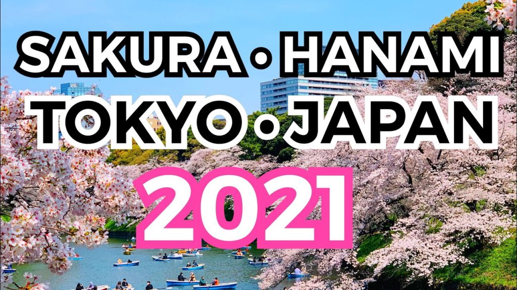 TOKYO 2021 🌸 SAKURA 🌸 VIRTUAL JAPAN 🌸 HANAMI 2021 #japan2021