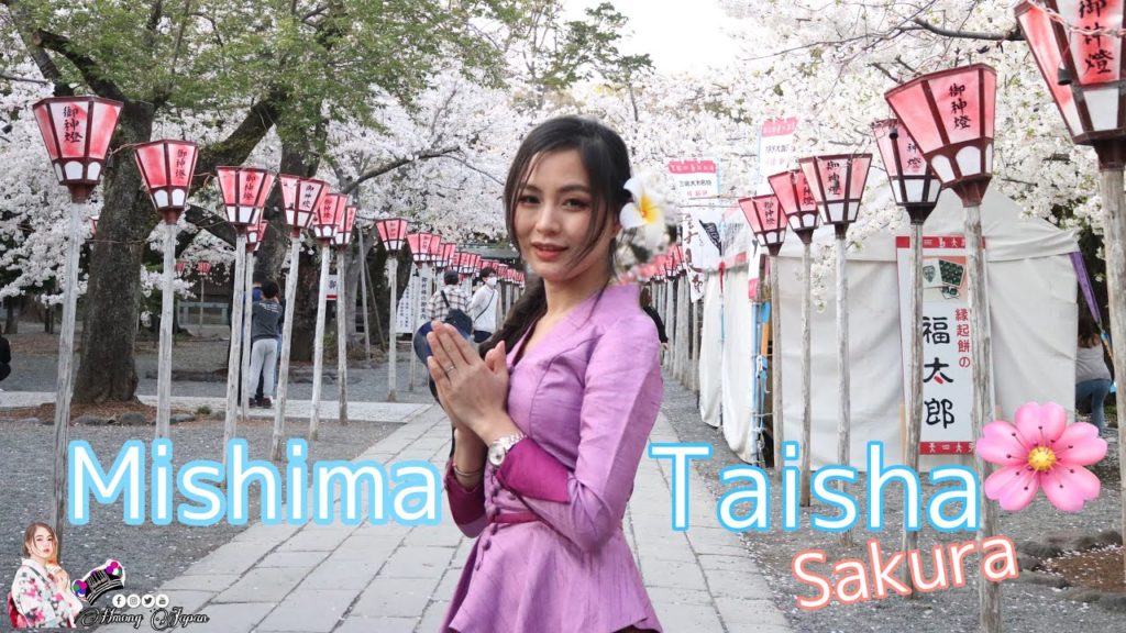 Mus ncig saib paj Sakura tawg nyob Mishima Taisha Japan 2021 Mus ncig saib paj Sakura tawg nyob Mishima Taisha Japan 2021