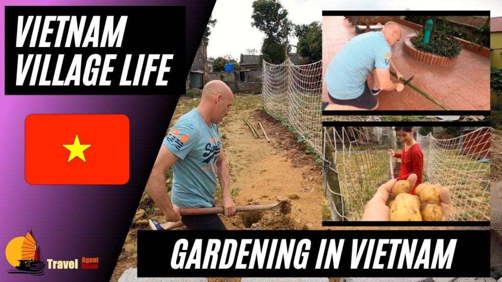Vietnamese countryside gardening | Vietnam Village Life Vietnamese countryside gardening | Vietnam Village Life
