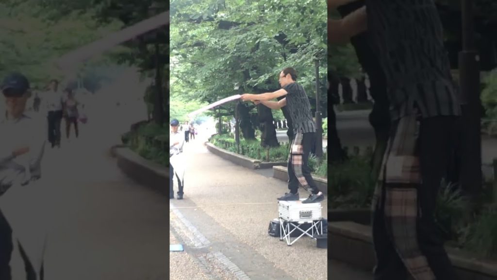 Touring Japan  Travelling in Japan Museum and Japanese Park Walkthrough