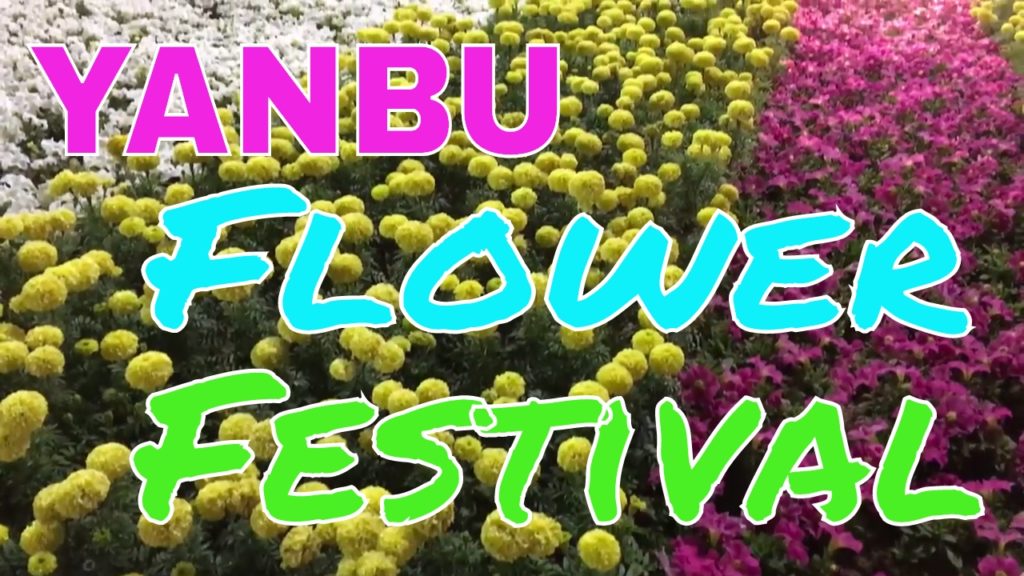 Yanbu 11th Flower & Garden Festival 2017 Part 2 | TipToe Travels