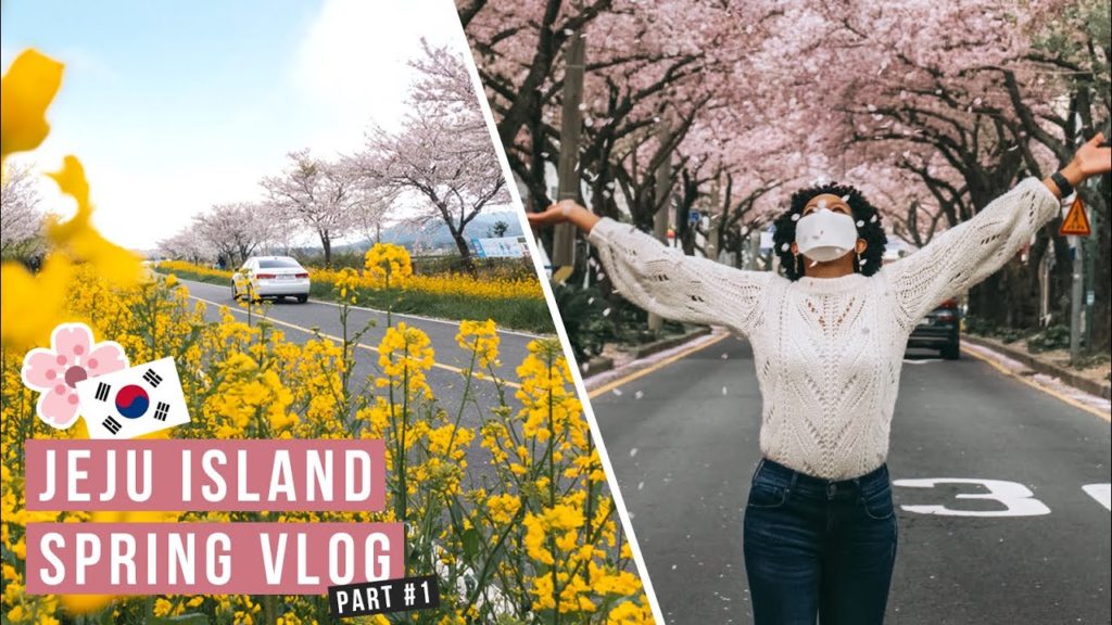 SPRING WEEKEND GETAWAY // Cherry blossom hunting on Jeju Island (Day 1)
