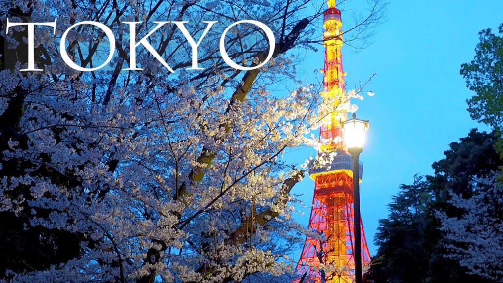 【Cherry blossoms】Yoshino cherry-trees are in full blossom at TOKYO 2021. #4K #東京の桜 #染井吉野 【Cherry blossoms】Yoshino cherry-trees are in full blossom at TOKYO 2021. #4K #東京の桜 #染井吉野