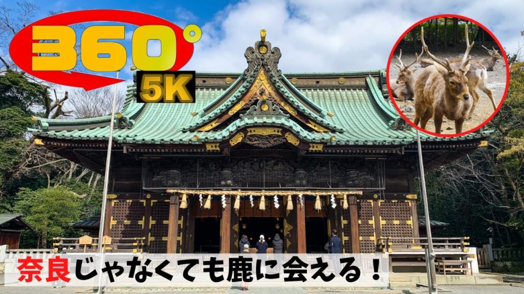 《 5.7K 高画質 》[ 360° VR  Japan Travel ] 三嶋大社～鹿のいる公園～静岡県三島市