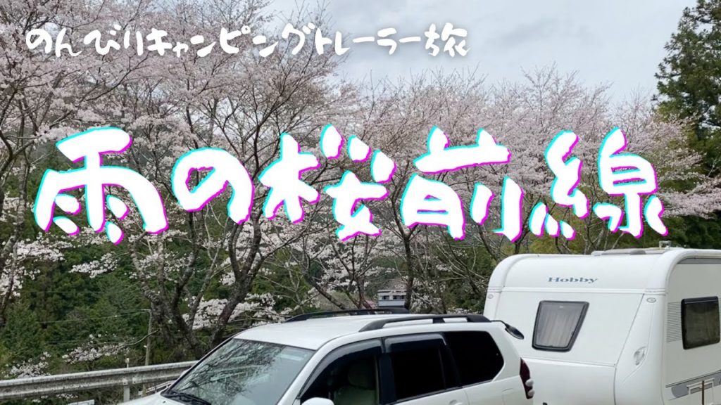 【雨の桜も乙なもの】雨の日のトーイング！嫌いではないので、今回は桜を見に行ってきました。自然の美しさは天気に左右されず、凛とした雰囲気を楽しんできました。