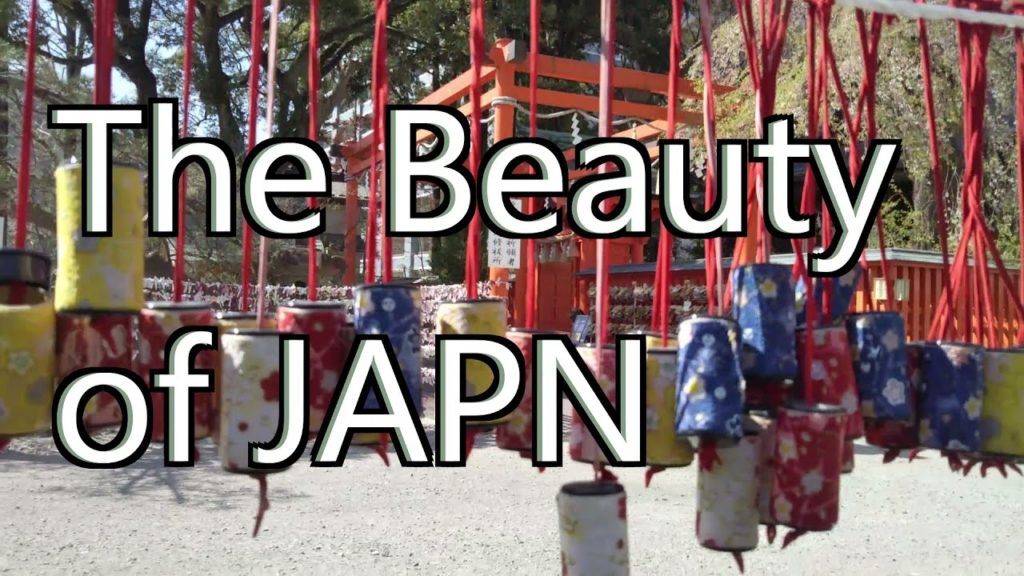 The Beauty of JAPAN🌸