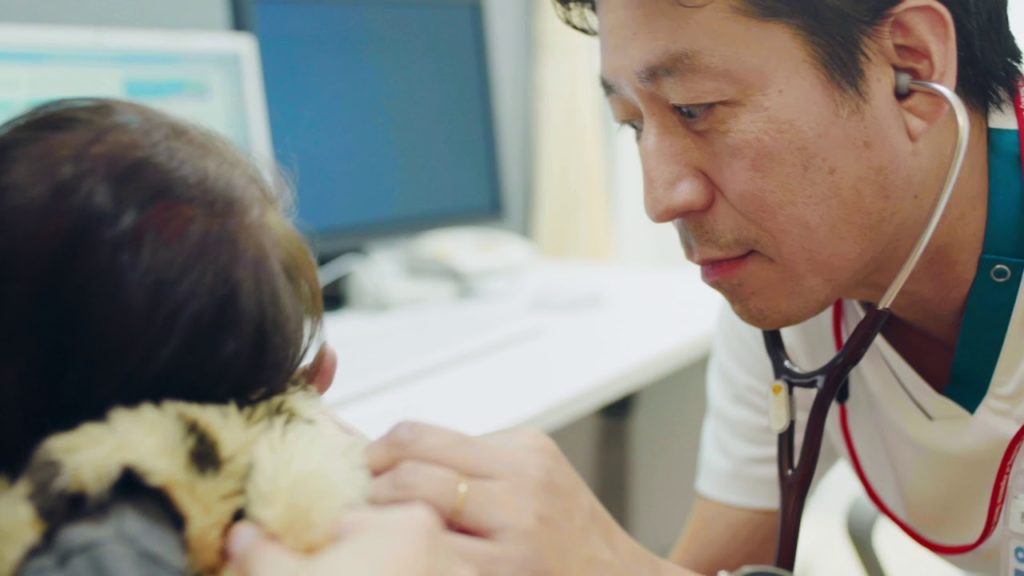 Quality Living City Kumamoto, JAPAN 4K 熊本市 Full ver #熊本#熊本市#kumamoto#kumamotocity