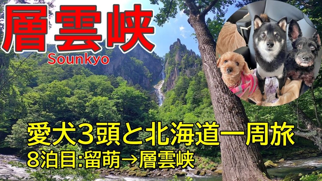 【層雲峡で黒岳と流星の滝/銀河の滝】北海道一周犬連れ旅行8泊目(HOTEL KUMOI泊)蘆別神社/旭川神社(2020.07動画リメイク) 【層雲峡で黒岳と流星の滝/銀河の滝】北海道一周犬連れ旅行8泊目(HOTEL KUMOI泊)蘆別神社/旭川神社(2020.07動画リメイク)